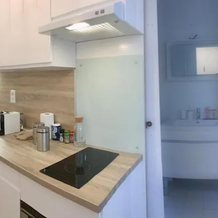 Le Skandi - 28 M² Renove Entre Gare & Centre-ville * וישי